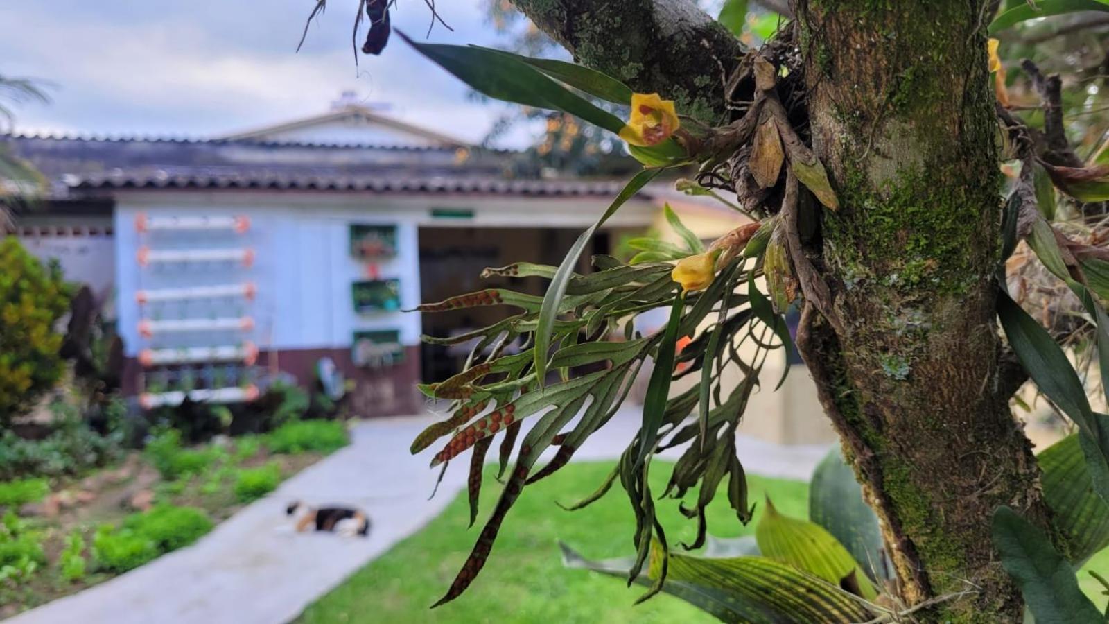 Ecohostel Dos Canyons Santa Catarina 大普拉亚 外观 照片